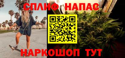 МДПВ Моздок