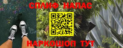 МДПВ Моздок