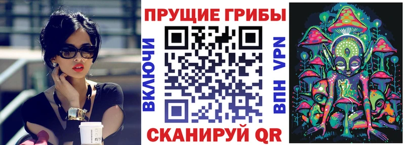 Псилоцибиновые грибы ЛСД  hydra маркетплейс  Новомосковск  наркотики 