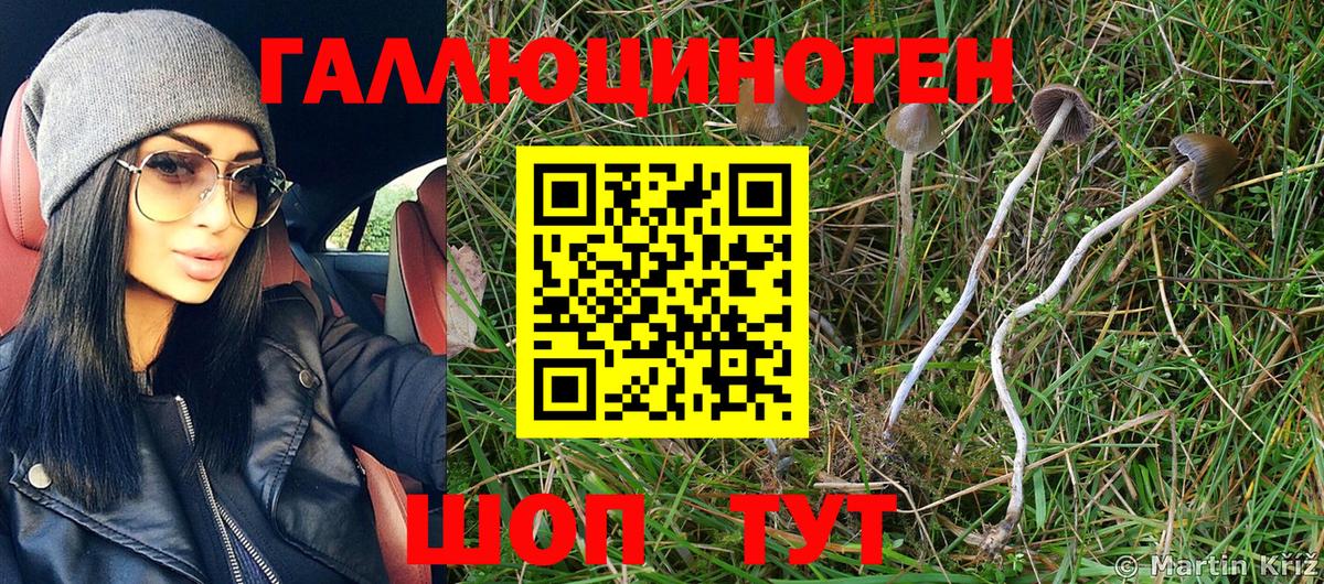 Псилоцибиновые грибы MAGIC MUSHROOMS Новомосковск