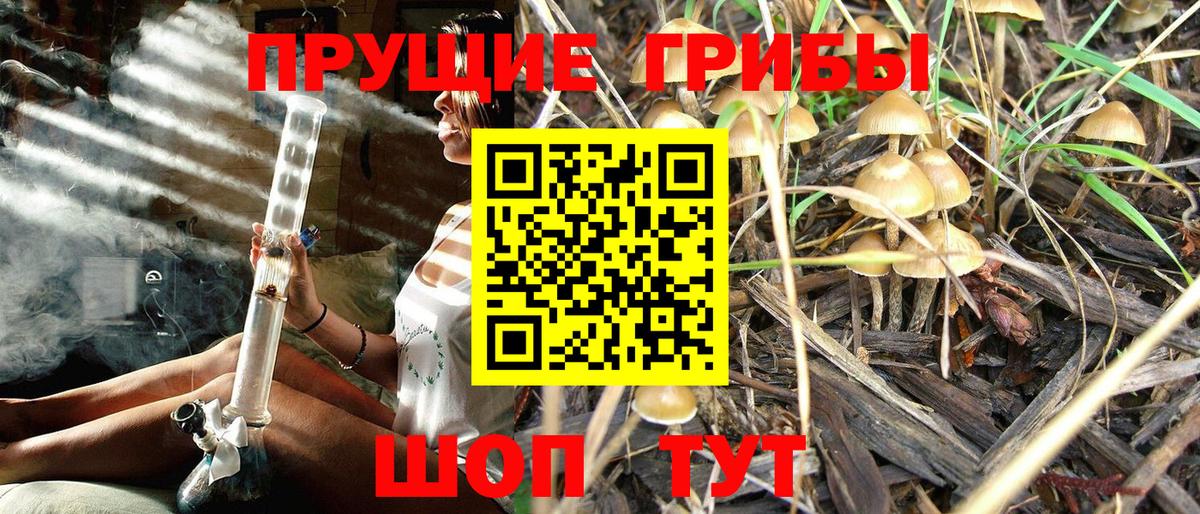 Псилоцибиновые грибы MAGIC MUSHROOMS  Вход с VPN  Новомосковск 